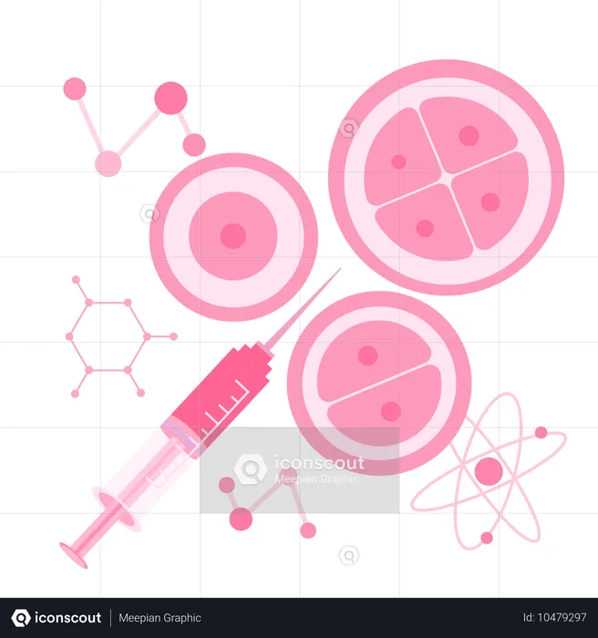 Proceso de división celular  Ilustración