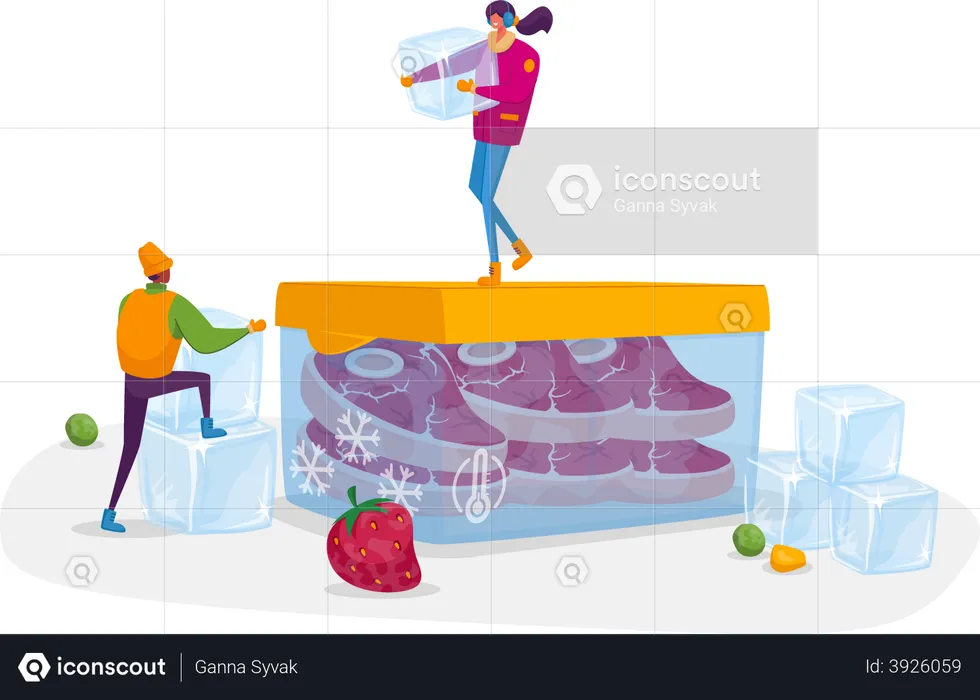 Products Refrigeration, Food, Fresh Berries, Vegetables  Illustration