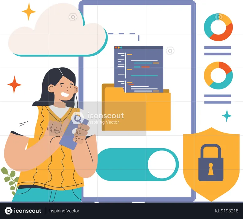 Programmer secures code  Illustration