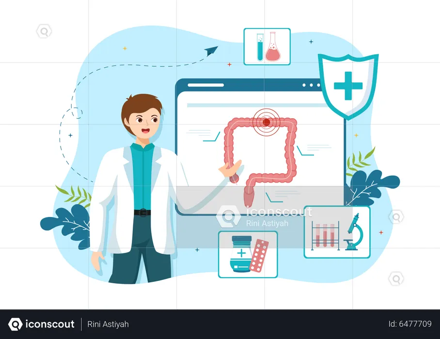 Proktologe erklärt Lactobacillus  Illustration