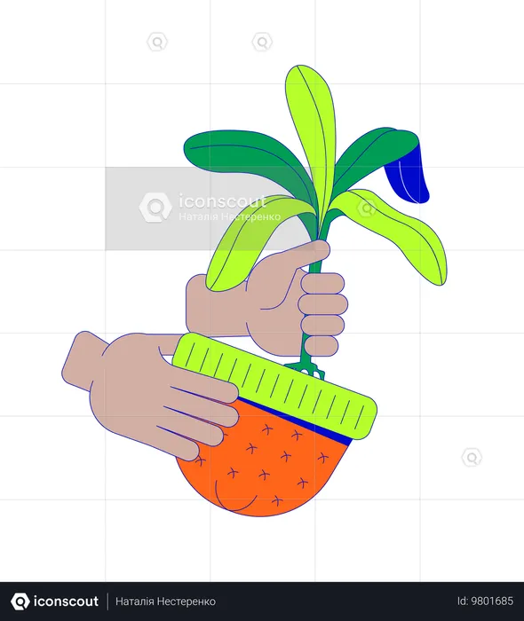 帽子の中に観葉植物を入れる  イラスト