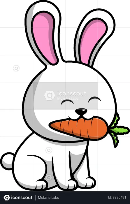Rabbit Bite Carrot  Illustration