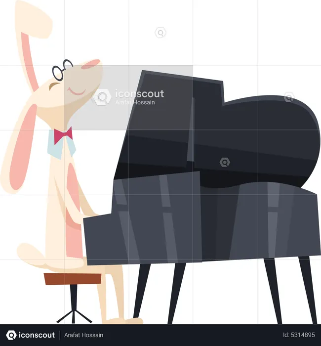 Rabbit playing piano  Illustration