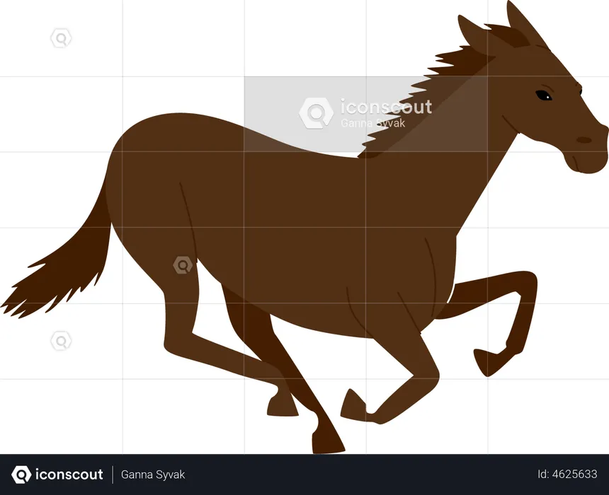 Racing Horse  Illustration