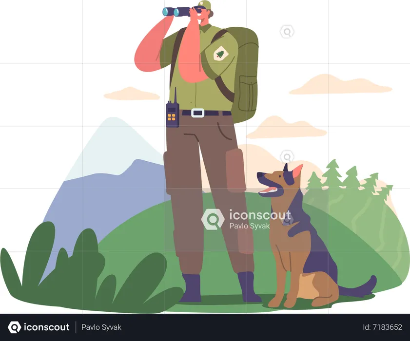 Ranger Forester Observes Through Binoculars  Illustration