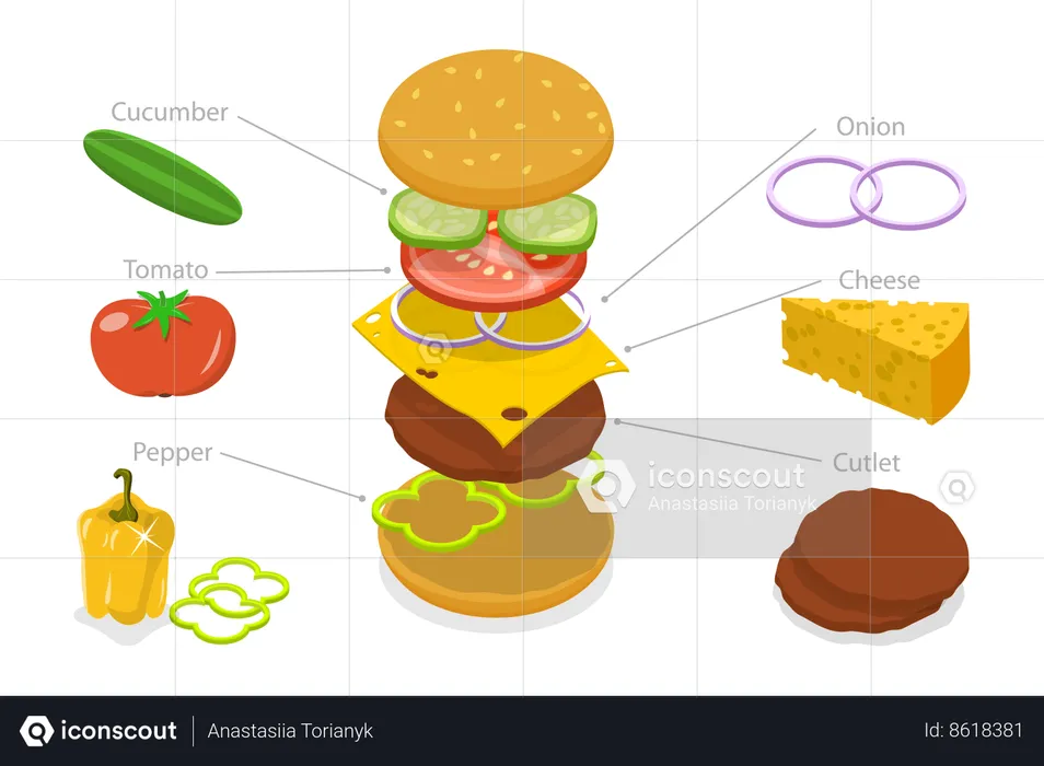 Recipe Of Hamburger  Illustration