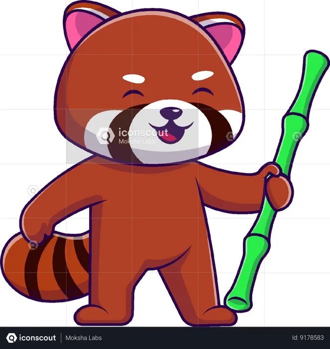 Red Panda Holding Bamboo  Illustration