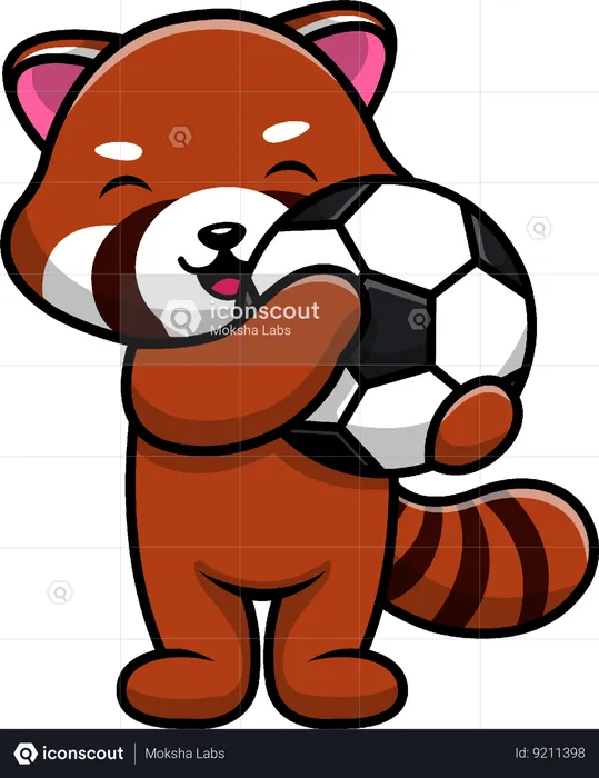 Red Panda Holding Soccer Ball  Illustration