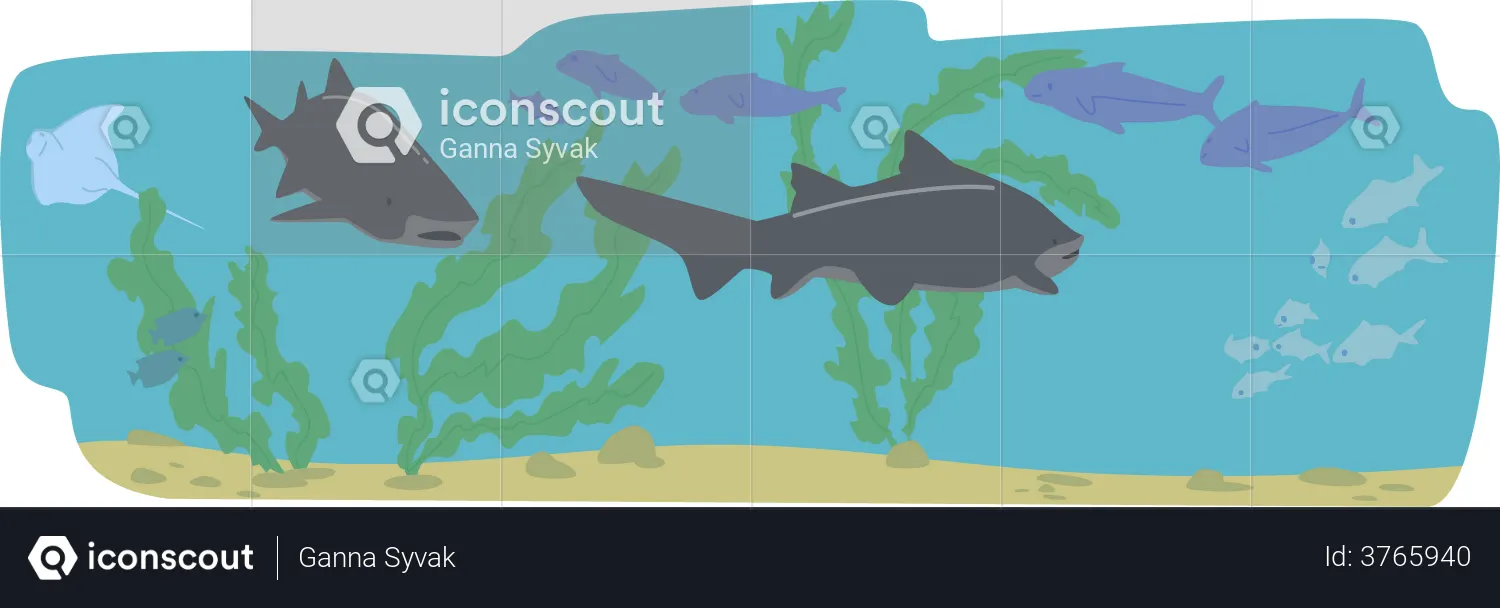 Requins nageant sous l'eau  Illustration