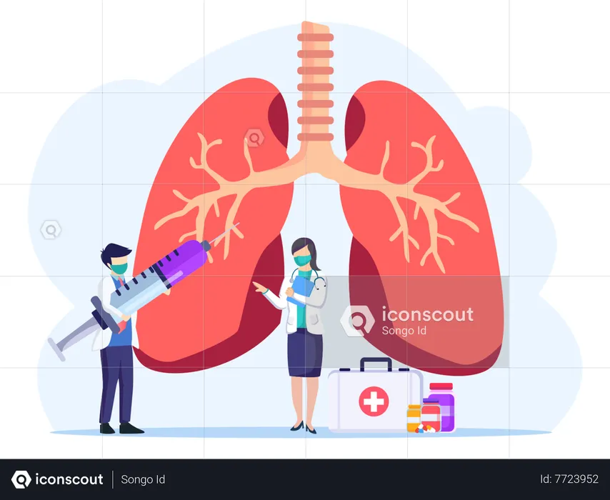 Respiratory System Examination  Illustration