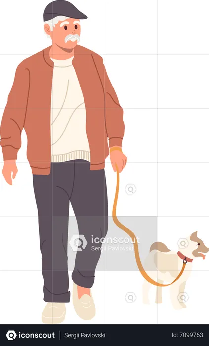 Retired elderly man walking dog having active recreation with pet outdoors  Illustration