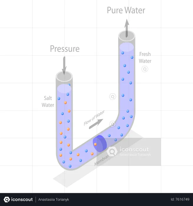 Reverse Osmosis Water Purification Process  Illustration