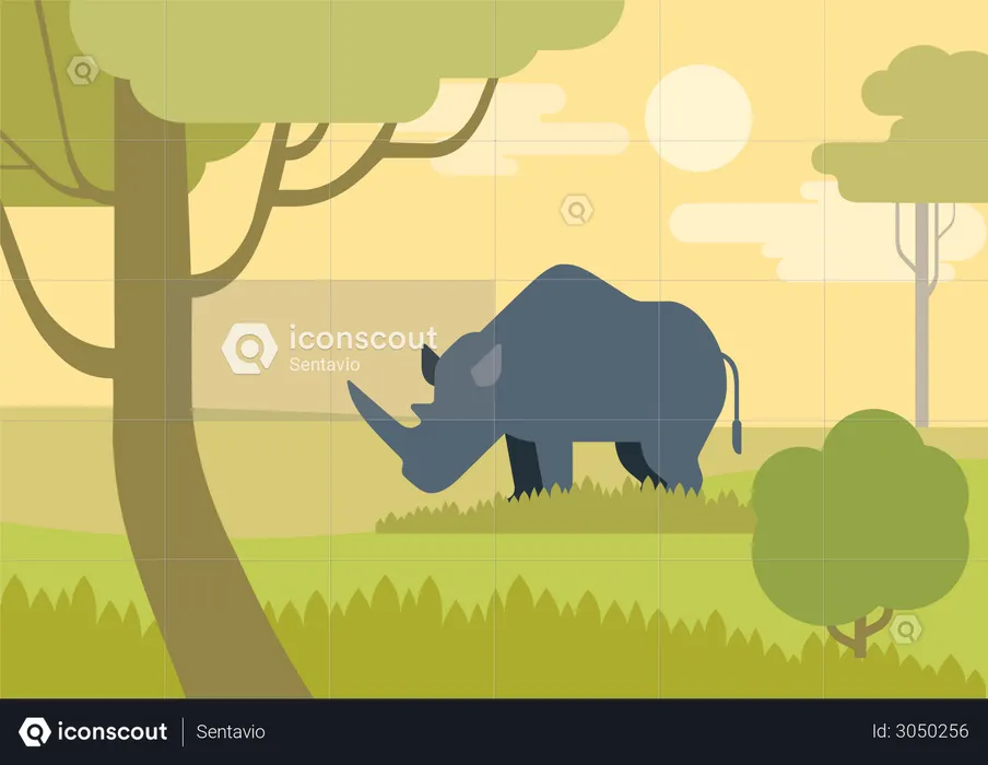 Rhinoceros  Illustration