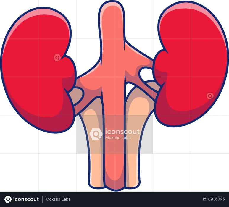 Rim  Ilustração