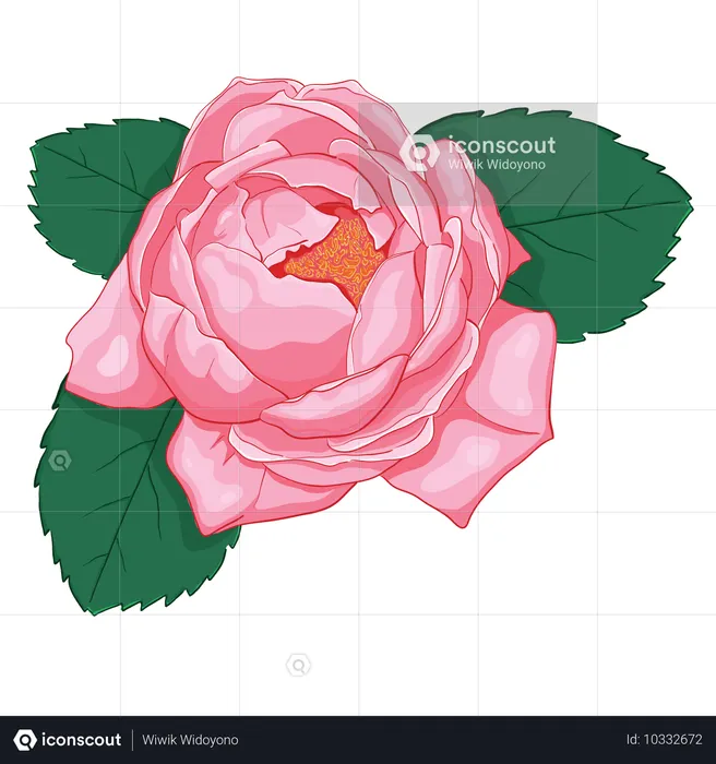 Rosa Rose mit grünen Blättern  Illustration