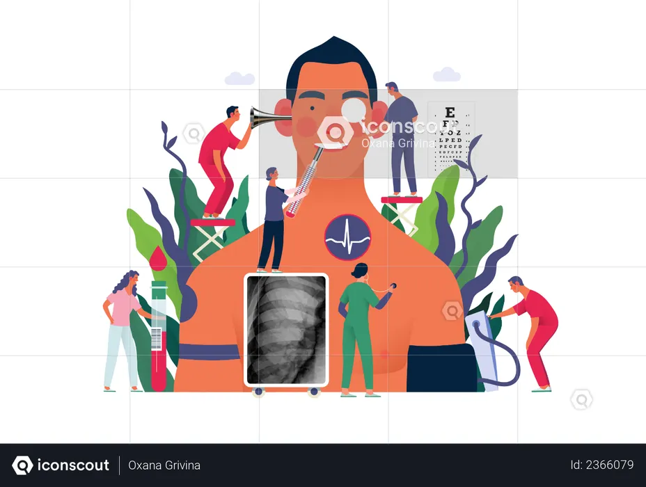 Routine full body health checkup  Illustration