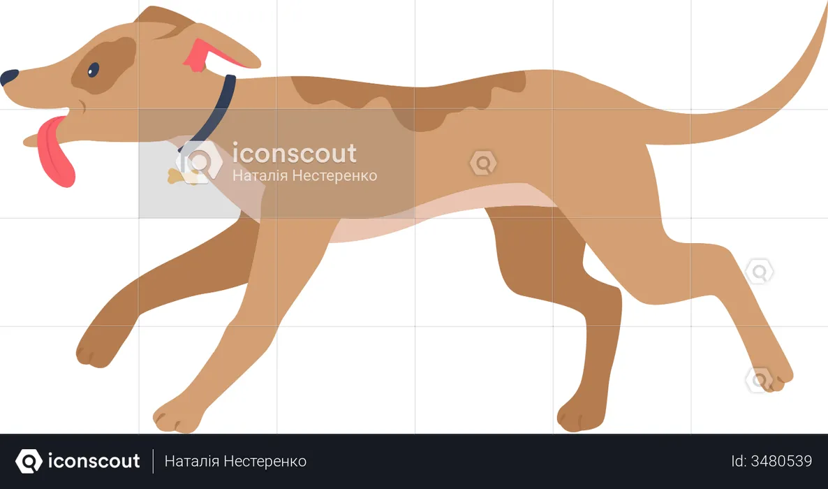 Running happy hound  Illustration