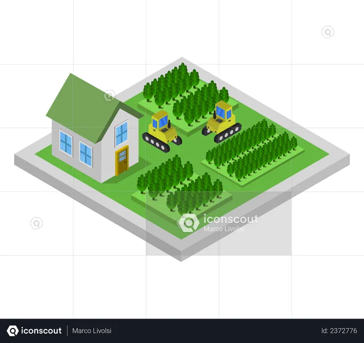 Rural House  Illustration