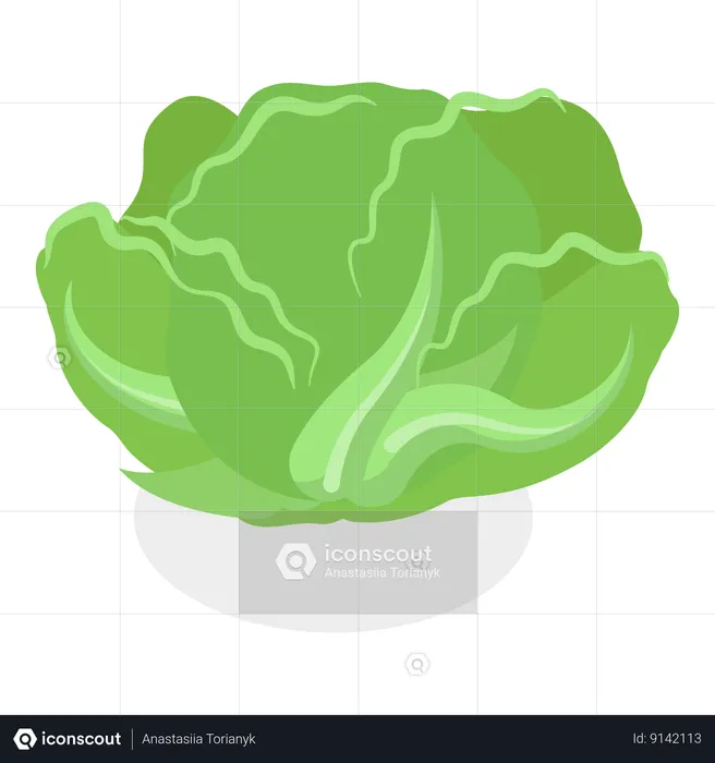 Salada verde  Ilustração