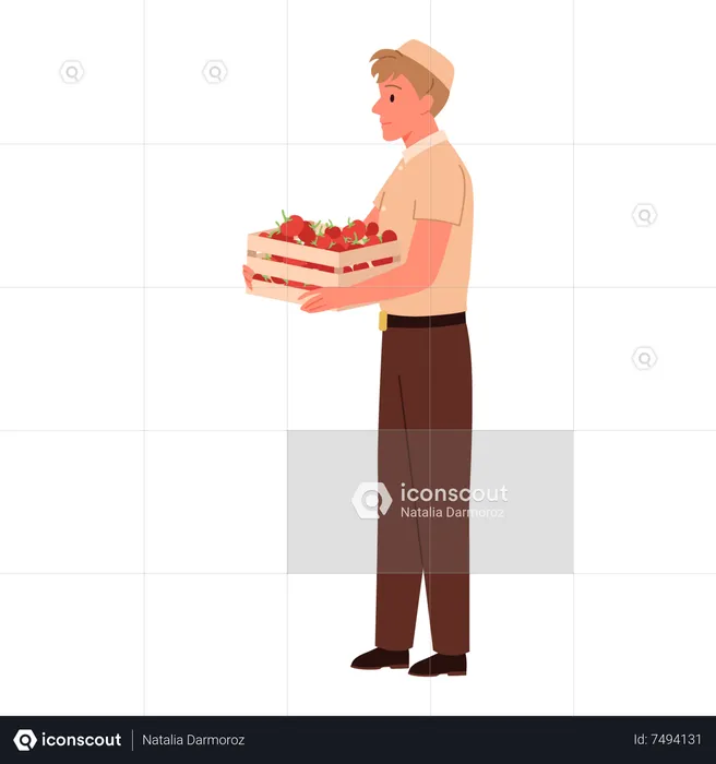 Sales Boy holding tomato basket  Illustration