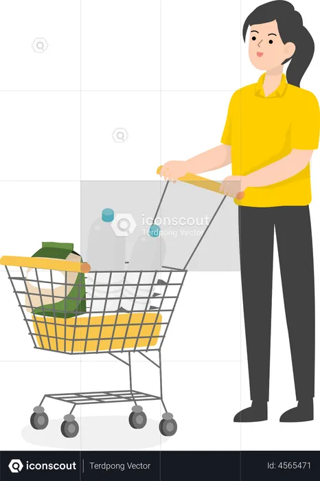 Saleswoman with shopping trolley  Illustration