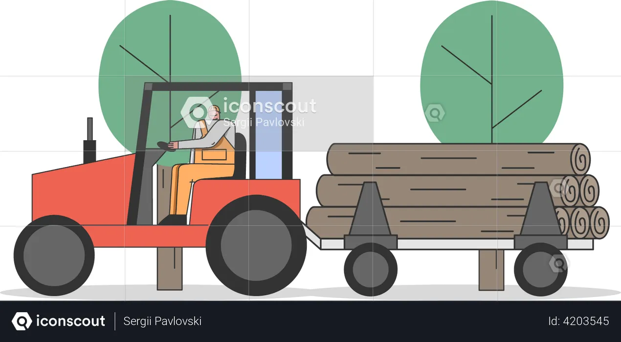 Sawmill Worker Carries Huge Logs On Tractors  Illustration