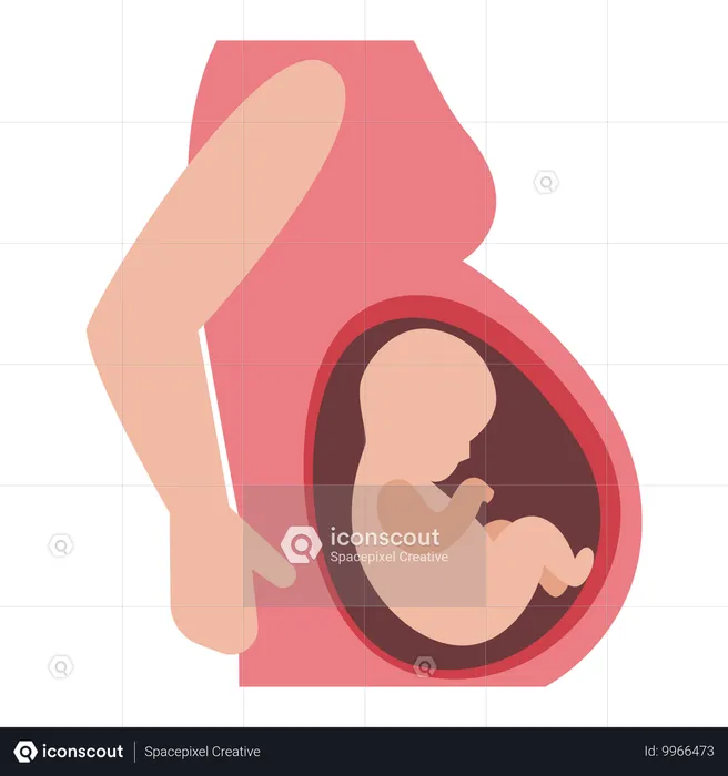 Schwangere Frau trägt Baby im Mutterleib  Illustration