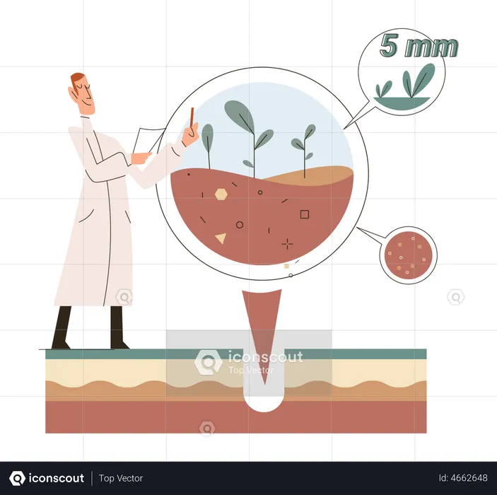 Scientist calculating soil moisture  Illustration