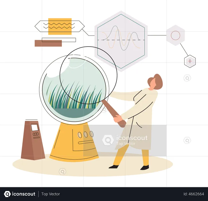 Scientist examining plant species using magnifying glass  Illustration