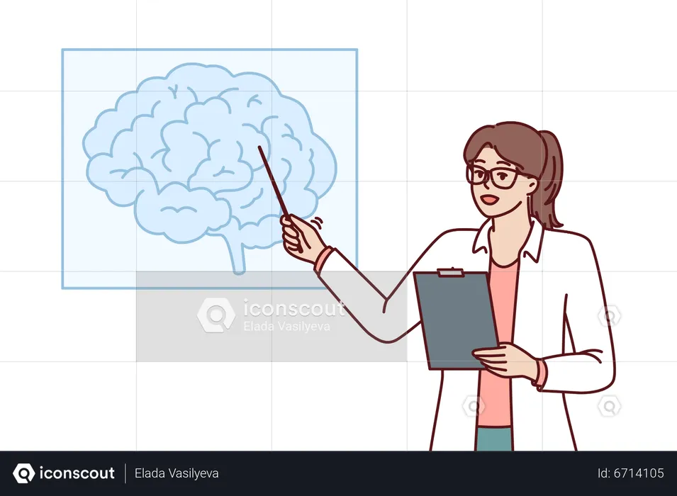 Scientist explaining brain functions  Illustration