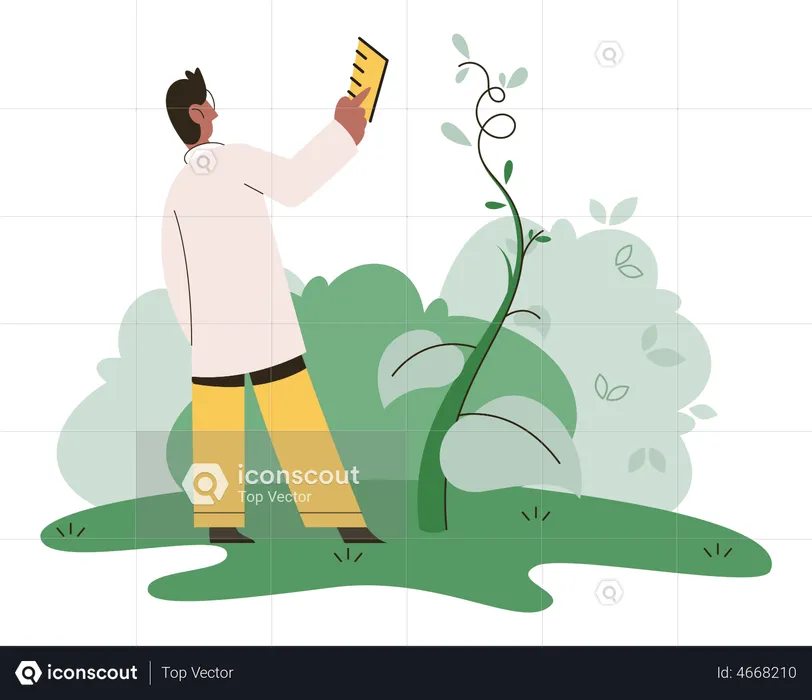 Scientist explores vegetable life  Illustration