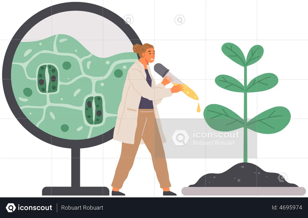 Scientist Studies Plant Cell  Illustration