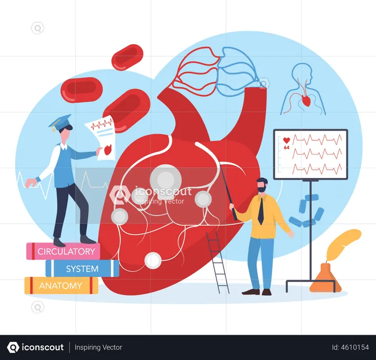 Scientist study human heart  Illustration