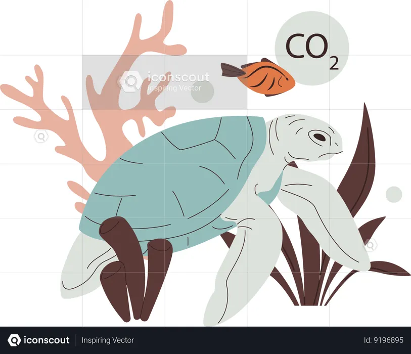 Sea turtle fish and corals toxic habitat area  Illustration