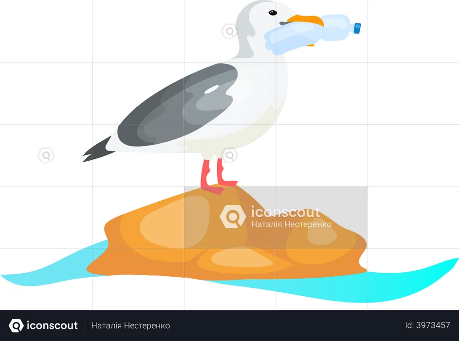 Seagull with plastic bottle in beak  Illustration