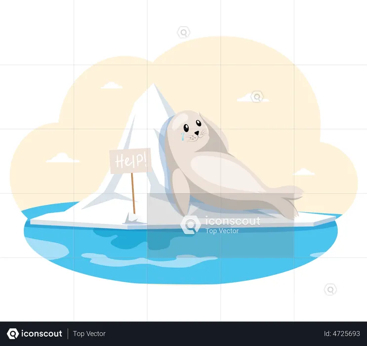Seal asking for help due to ice melting  Illustration
