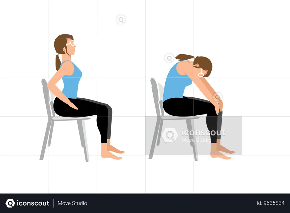 Seated cat/cow stretch  Illustration