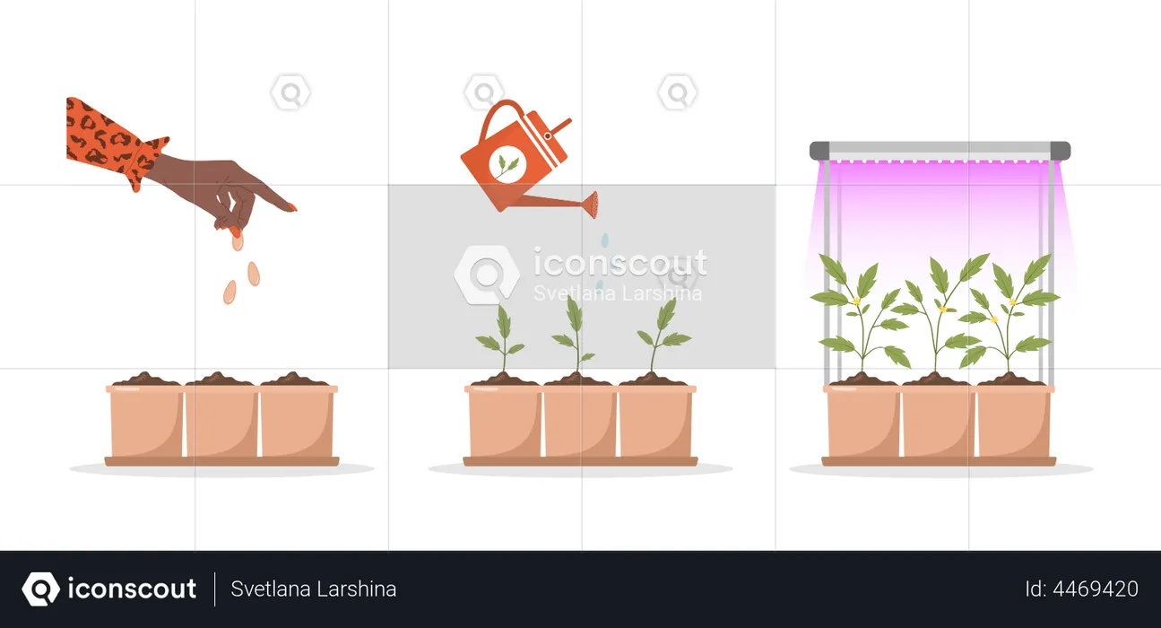 Seedling growing in pot  Illustration