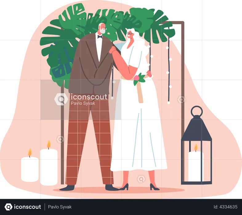 Senior citizen couple getting married  Illustration