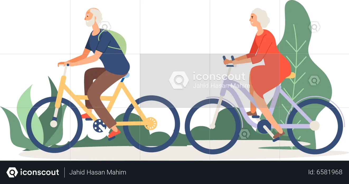 Senior couple riding cycle  Illustration