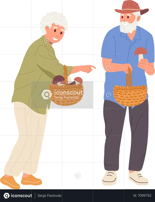 Senior family couple walking together and picking mushrooms  Illustration