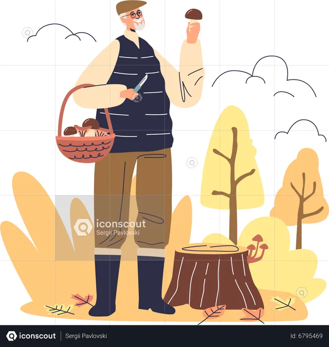 Senior man picking mushroom in autumn forest  Illustration