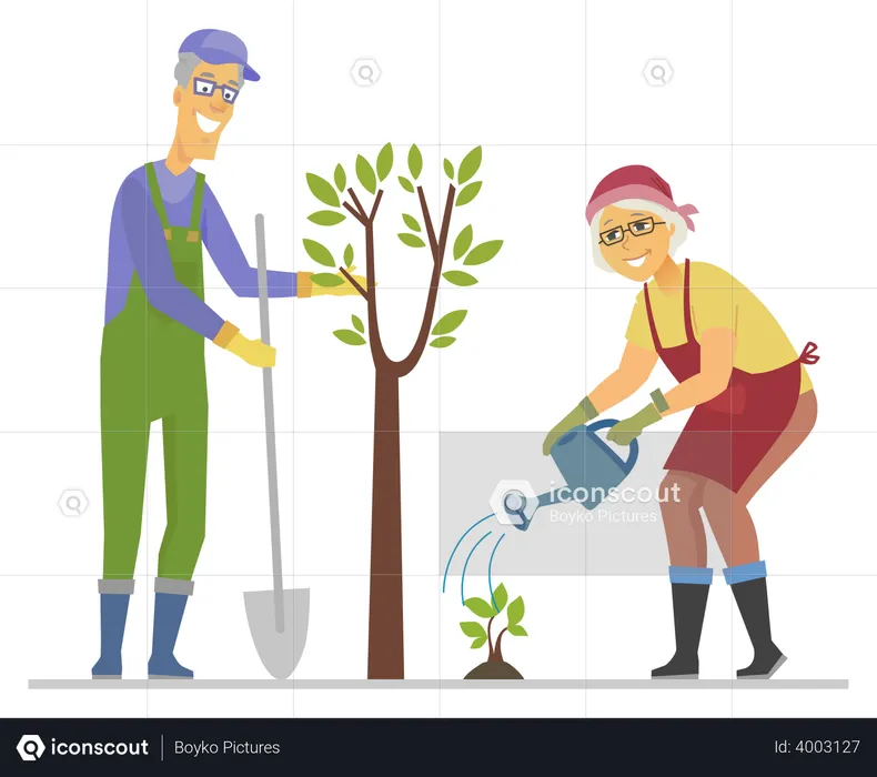 Senior people planting a tree  Illustration