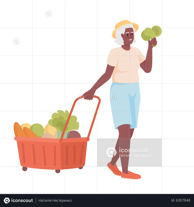 Senior woman with grocery cart  Illustration