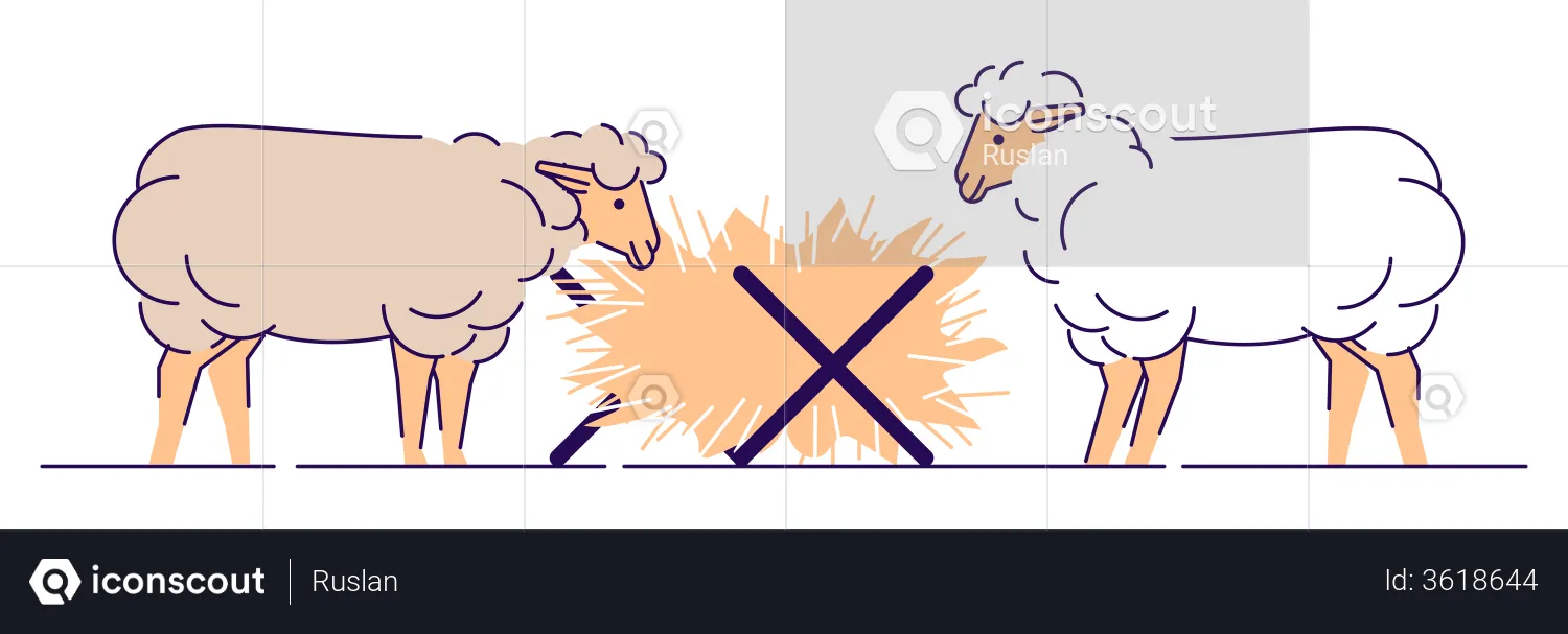 Sheep eating hay  Illustration