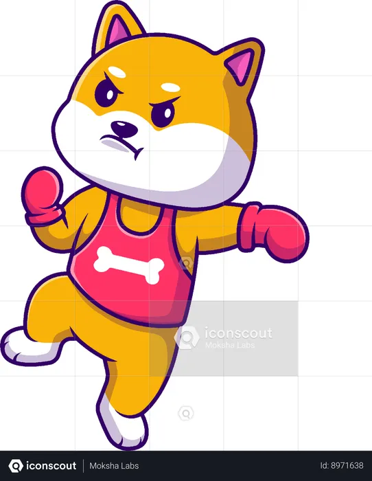Shiba Inu Dog Boxing  Illustration