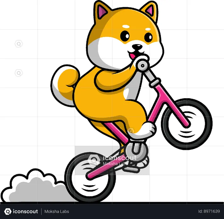 Shiba Inu Dog Riding With Bicycle  Illustration