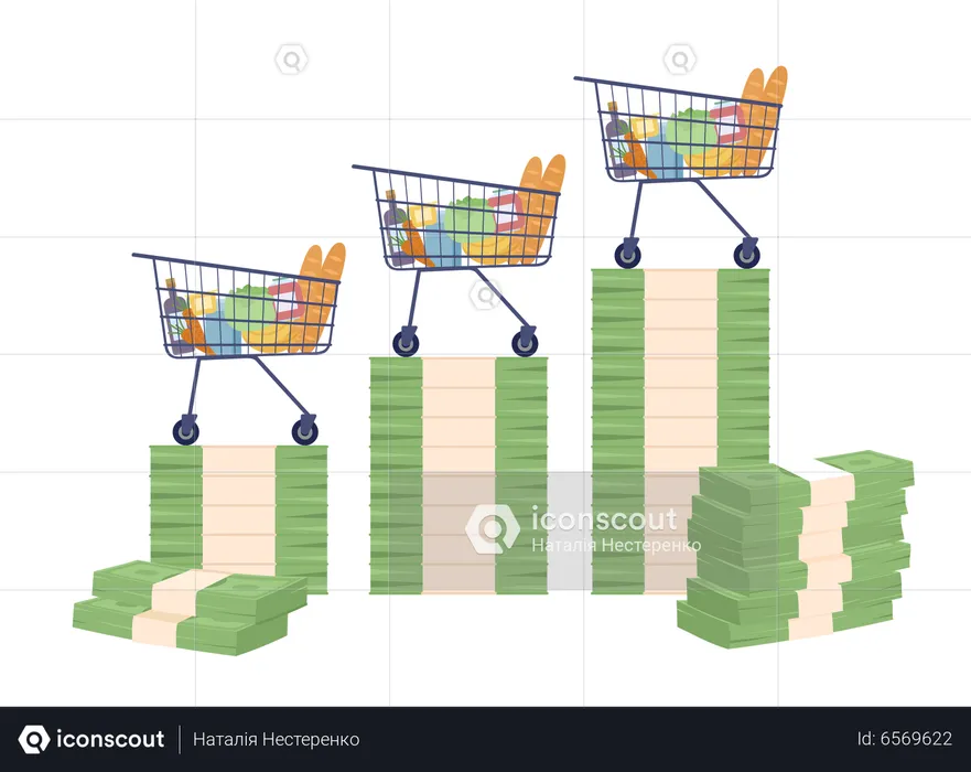 Shopping carts standing on banknotes stack  Illustration
