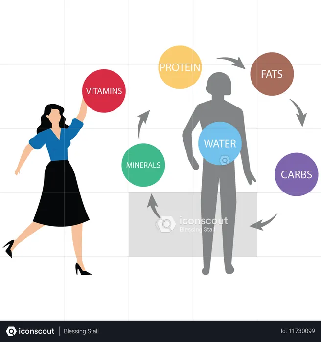 Six essential nutrients to consume for body proper function  Illustration
