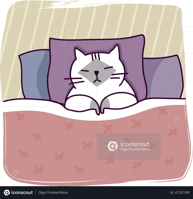 Sleeping cat  Illustration